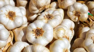 When to Plant Garlic