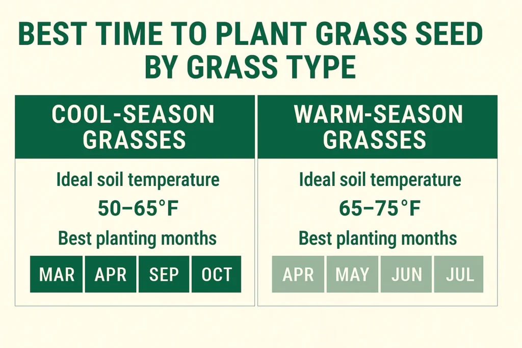 Best Time to Plant Grass Seed by Grass Type