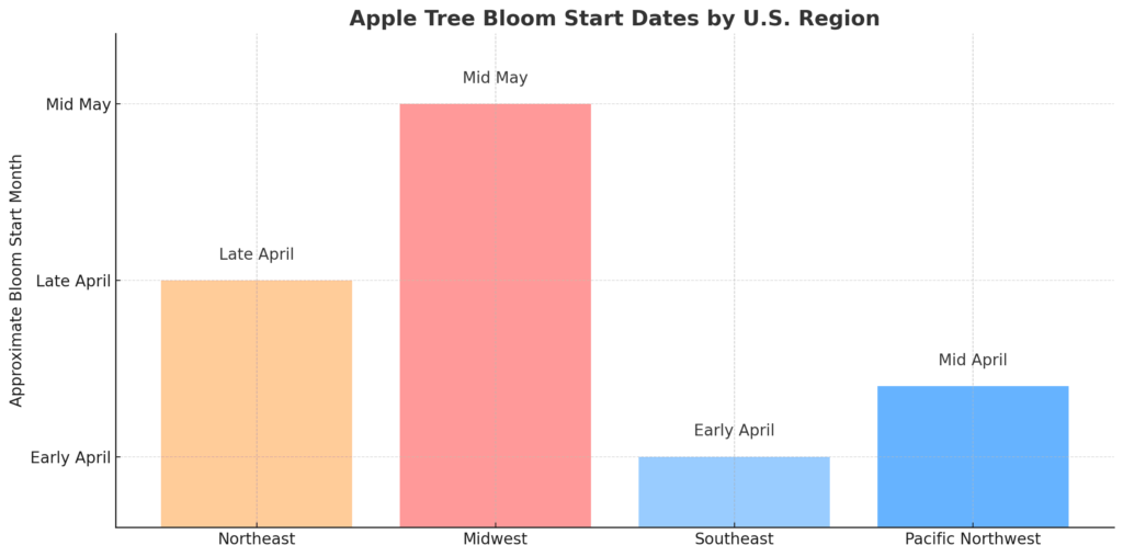Bloom Comparison by Region