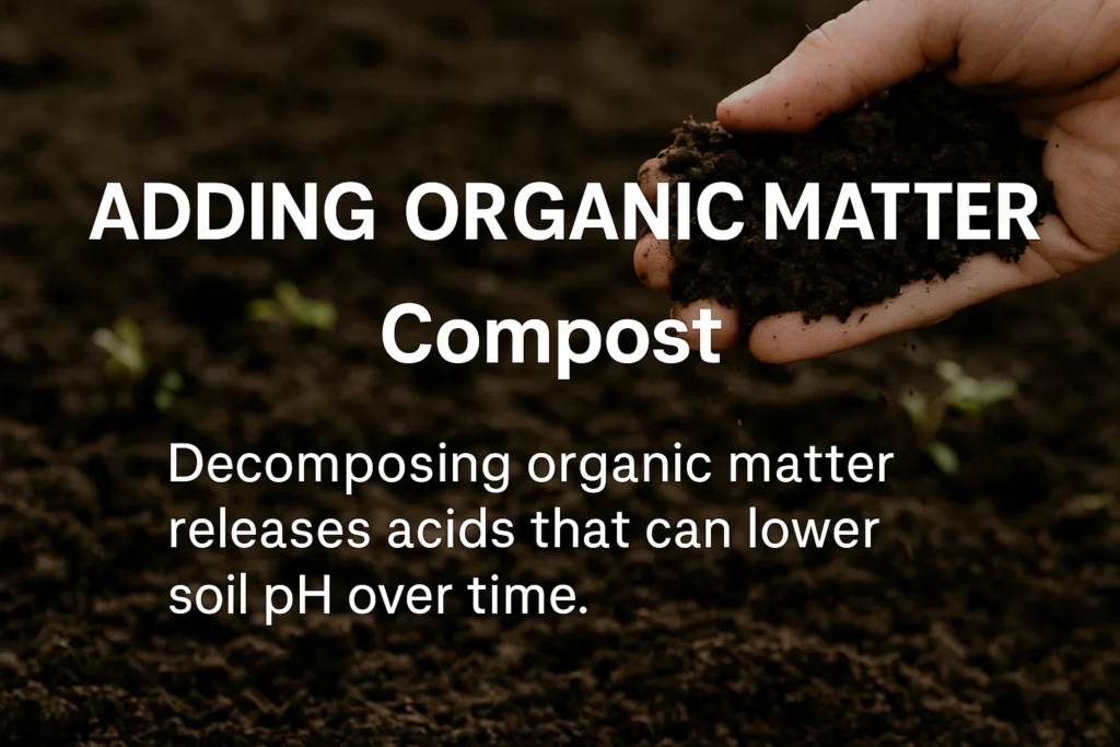 Compost & Organic Matter
