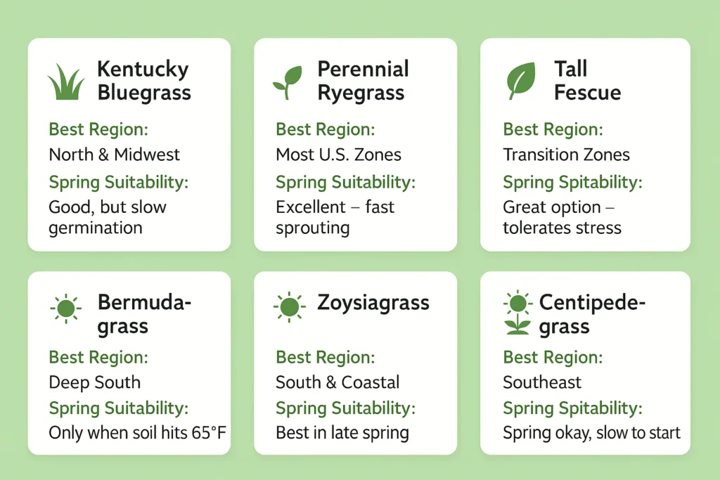 Grass Types That Grow Well When Planted in Spring