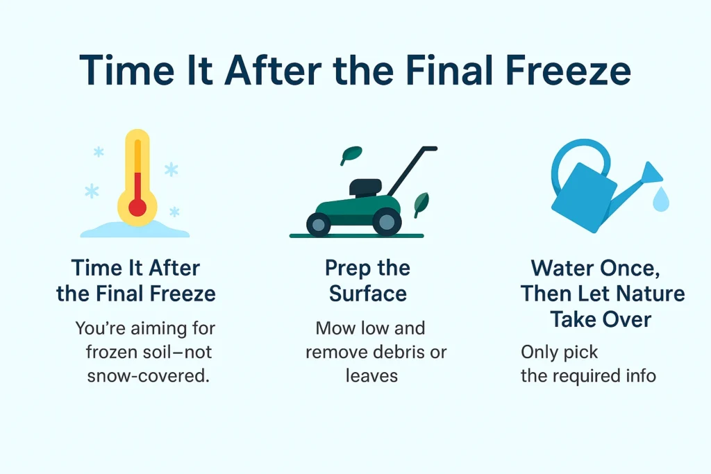 Tips for Planting Grass Seed in Winter