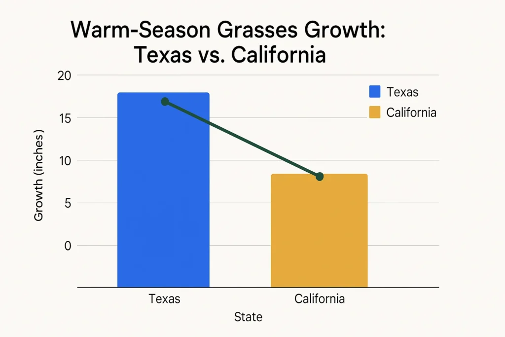 Warm-Season Grasses: Texas vs. California