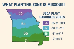 What Planting Zone is Missouri
