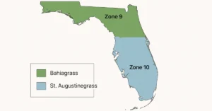 When to Plant Grass Seed in Florida
