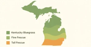 When to Plant Grass Seed in Michigan