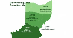 When to Plant Grass Seed in Ohio