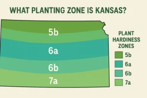 what planting zone is kansas