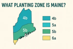 what planting zone is maine