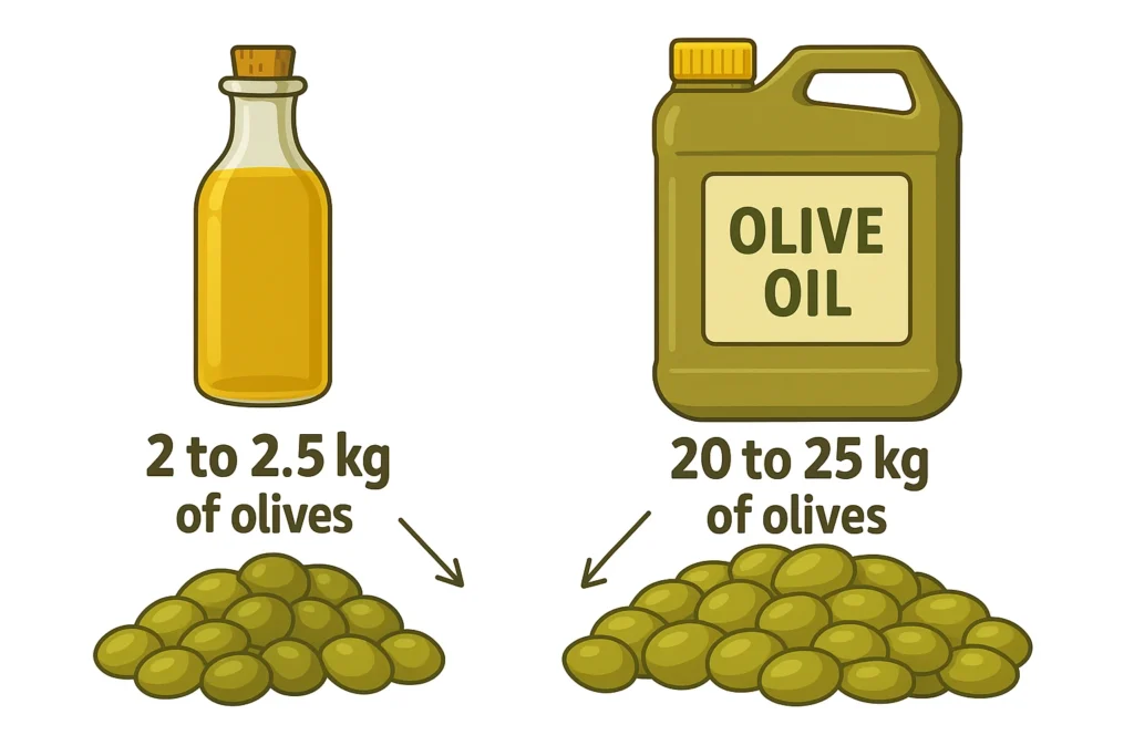 Infographic showing olive-to-oil ratios at different volumes