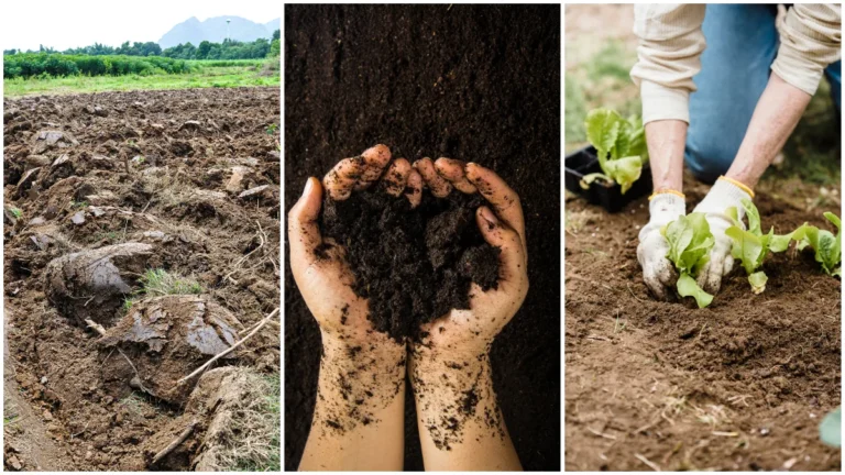 when to amend soil