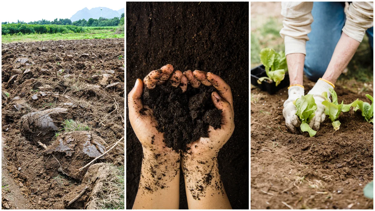 when to amend soil